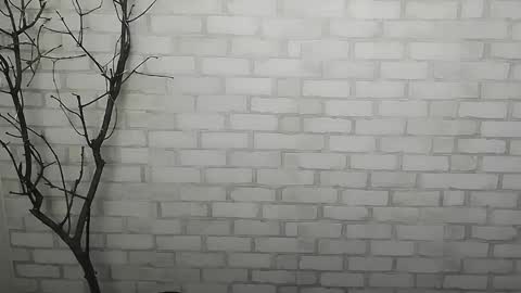 Rachel online show from 12-14-24, 01:27