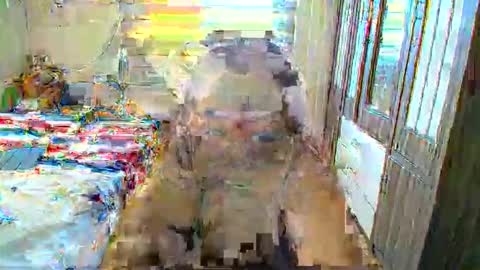 Anya online show from 04-26-26, 02:09