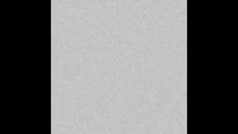    online show from 11-16-25, 11:54