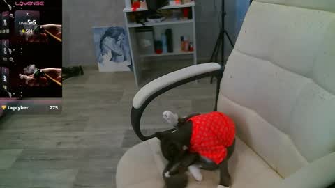 Snapshot of _sweet_ruby_ chatting on 02-26-25, 07:53 Milana welcome to my world online show from 02-26-25, 07:53