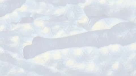 Evi online show from 01-14-25, 10:44