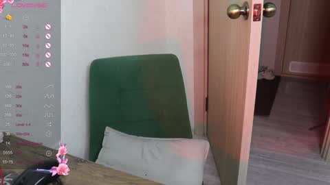 Snapshot of _viv1an_ chatting on 01-25-25, 02:47 Alis online show from 01-25-25, 02:47