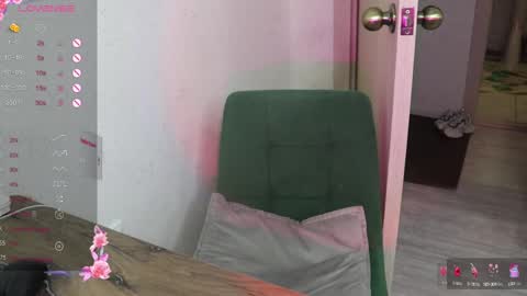 Snapshot of _viv1an_ chatting on 02-03-25, 12:47 Alis online show from 02-03-25, 12:47