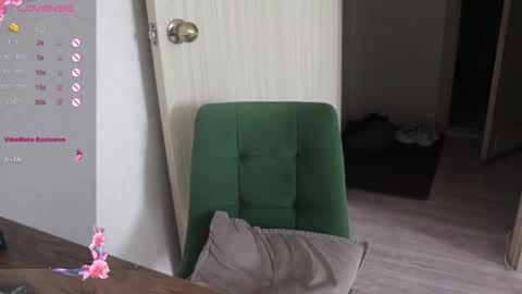 Snapshot of _viv1an_ chatting on 02-26-25, 07:42 Alis online show from 02-26-25, 07:42