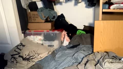 Matt snap - mattdillon1995 online show from 09-18-25, 05:42