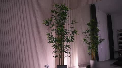 Alexa online show from 01-23-25, 09:39