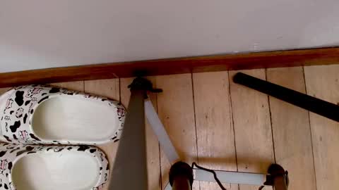 Abby online show from 09-21-25, 03:52