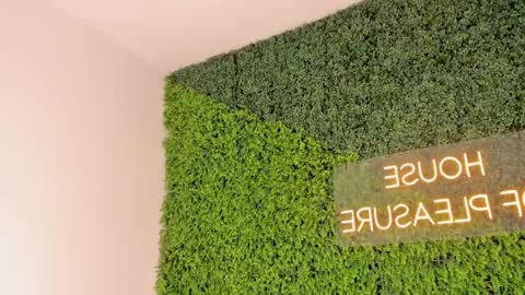 A B B Y online show from 03-08-25, 12:09