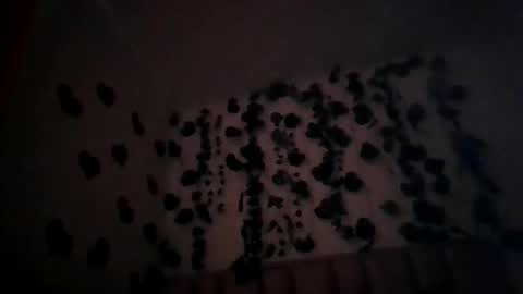 abby_moss_2 online show from 04-08-26, 12:49