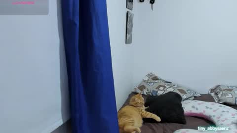 Abby Saenz online show from 10-18-25, 11:27