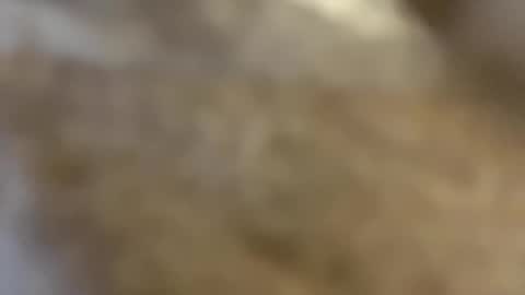 ABBY online show from 12-03-24, 10:50