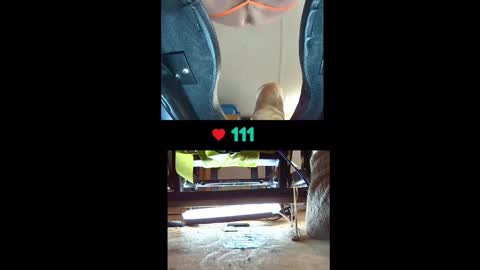 abidode5 online show from 10-21-25, 07:42