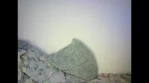 Snapshot of abigailove4u chatting on 02-22-25, 11:46 GoldenFish online show from 02-22-25, 11:46