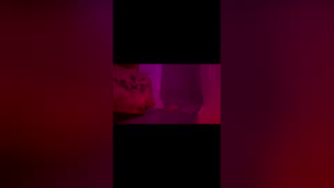 abigrace online show from 04-10-26, 12:27