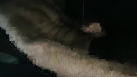 acid_lab online show from 12-16-24, 02:27