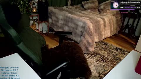 Snapshot of adalinarae chatting on 01-05-25, 06:24 Adalina Rae online show from 01-05-25, 06:24