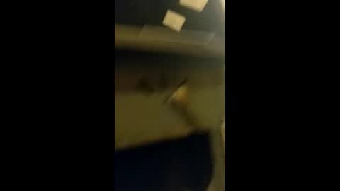 Snapshot of adam000985057 chatting on 01-31-25, 02:04 adam000985057 online show from 01-31-25, 02:04