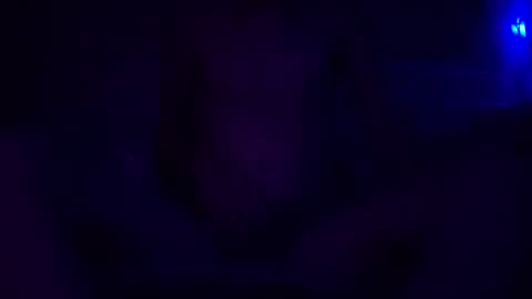 adamllamas online show from 12-30-24, 05:48