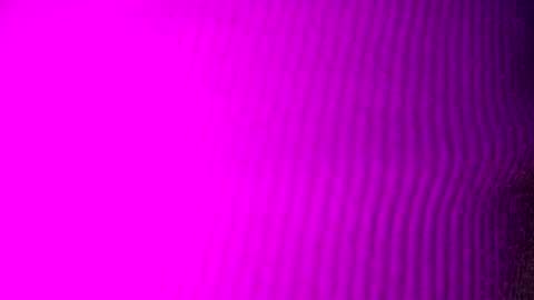 adamllamas online show from 09-15-25, 04:56