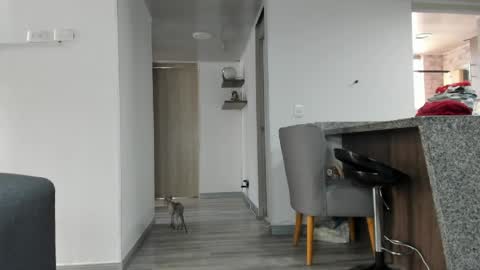 Snapshot of adan_eva960 chatting on 05-21-26, 04:47 eva online show from 05-21-26, 04:47