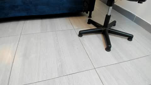 Snapshot of adbel_sady chatting on 12-27-24, 11:06 adbel sady online show from 12-27-24, 11:06