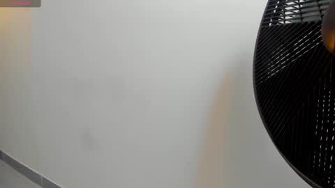 Snapshot of adbel_sady chatting on 09-19-25, 11:11 adbel sady online show from 09-19-25, 11:11