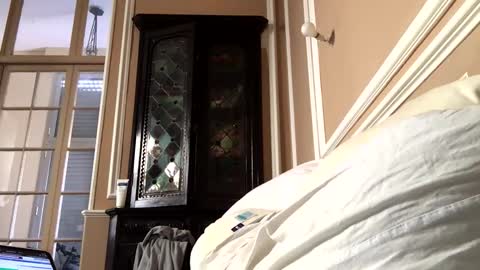 adrienfromparis online show from 03-19-26, 08:07