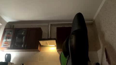 Snapshot of aevra chatting on 12-06-24, 02:24 vegans taste better online show from 12-06-24, 02:24