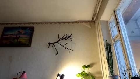 Snapshot of aevra chatting on 10-07-25, 05:37 vegans taste better online show from 10-07-25, 05:37