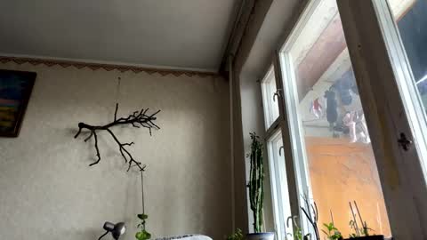 Snapshot of aevra chatting on 10-14-25, 06:14 vegans taste better online show from 10-14-25, 06:14