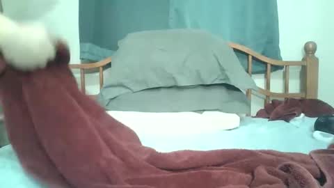 Snapshot of afreeman1 chatting on 01-07-26, 04:20 afreeman1 online show from 01-07-26, 04:20