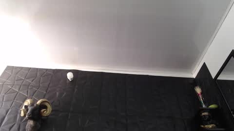  Miss Agata  online show from 02-05-26, 05:28