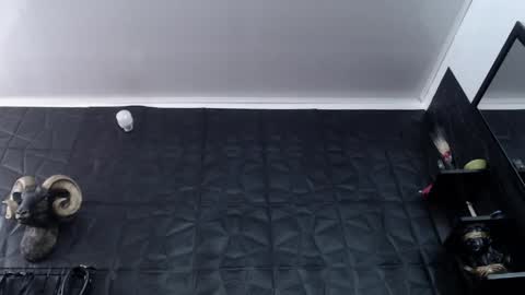  Miss Agata  online show from 04-27-26, 06:17