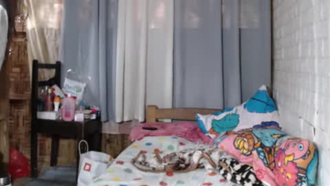 Markii online show from 12-31-24, 03:45