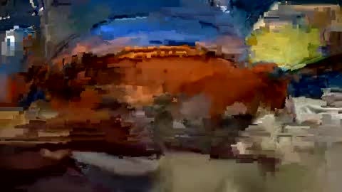 aj297914 online show from 10-01-25, 03:34