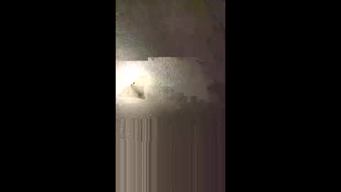 aj297914 online show from 02-08-26, 05:22