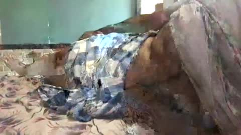 Snapshot of ajeeb_najeeb chatting on 12-16-24, 06:32 BigHairyGuy online show from 12-16-24, 06:32