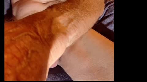 akiwi2 online show from 12-20-24, 10:05