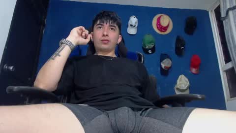 Snapshot of al3xxx_p chatting on 04-24-26, 11:45 Alex online show from 04-24-26, 11:45