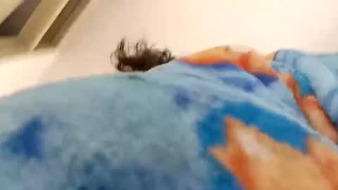 Snapshot of alana_stark chatting on 12-15-25, 12:31 isabella online show from 12-15-25, 12:31