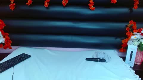 AlaSmith  online show from 01-29-25, 04:58