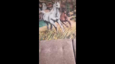 albina online show from 02-13-26, 09:49