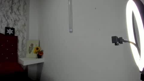 ALEJANDRA JAMES online show from 05-04-26, 11:28
