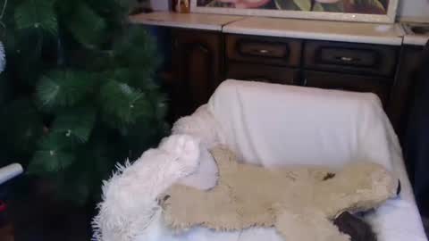 Snapshot of alenablack chatting on 12-15-24, 02:08 Luly online show from 12-15-24, 02:08