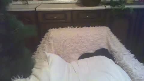 Snapshot of alenablack chatting on 01-05-25, 03:00 Luly online show from 01-05-25, 03:00