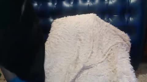 Snapshot of alenablack chatting on 02-14-25, 01:02 Luly online show from 02-14-25, 01:02