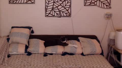 Sandra online show from 02-25-25, 08:09