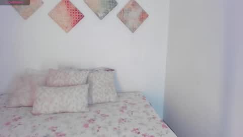 Snapshot of alexalovecastle1 chatting on 12-05-25, 06:00 Alexandra Castillo online show from 12-05-25, 06:00