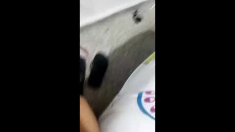 Alexamdergal online show from 01-09-25, 10:31