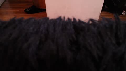 Alexa Moon online show from 12-07-24, 03:58